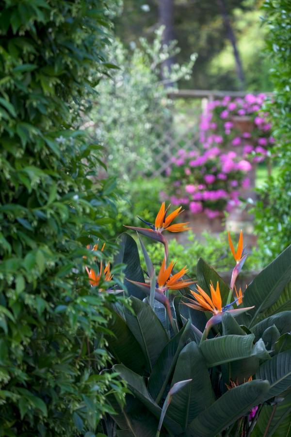 La Cervara Bed & Breakfast Santa Margherita Ligure Exterior photo